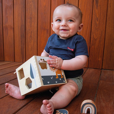 Scatola Forme Geometriche a Incastro in Legno per bambini 12m+ Tryco B