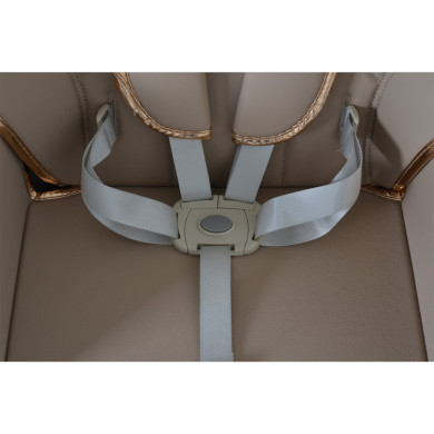 Seggiolone Moni Lindo con set pappa omaggio – Comfort e sicurezza 6m+