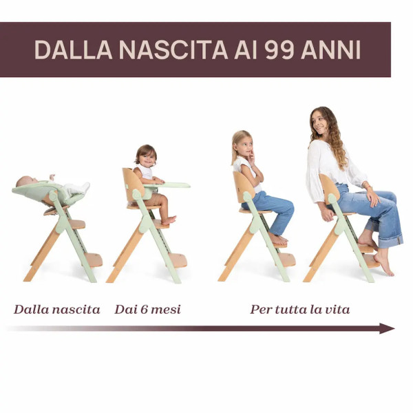 Meraviglia 4in1 Seggiolone Evolutivo in Legno FSC Chicco