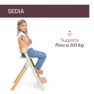 Meraviglia 4in1 Seggiolone Evolutivo in Legno FSC Chicco