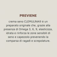 Crema seno Clemulina Fiocchi di Riso 15 ml – Allattamento