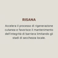 Crema seno Clemulina Fiocchi di Riso 15 ml – Allattamento